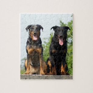 2 Beaucerons Jigsaw Puzzle