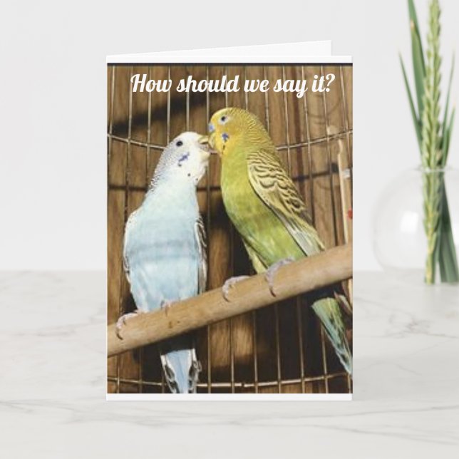 2 BIRDS OF A FEATHER SAY "HAPPY BIRTHDAY" CARD (Front)