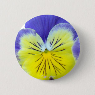 2 Blue Yellow Pansies Inch Round Button