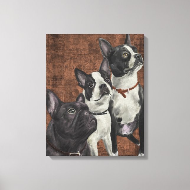 2 Boston Terriers and French Bulldog Canvas Print (Front)