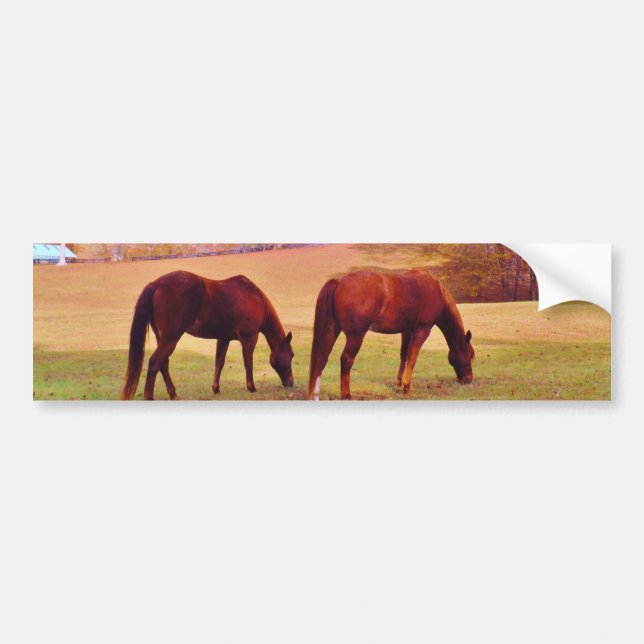 2 Brown horses in a coloured field Bumper Sticker (Front)