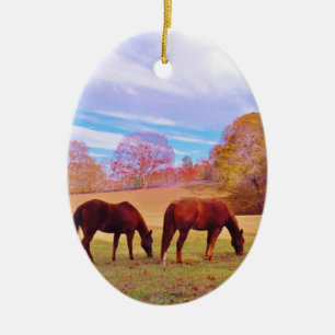 2 Brown horses in a coloured field Ceramic Ornament