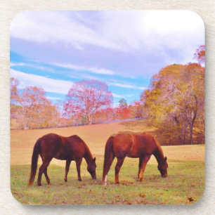 2 Brown horses in a coloured field Coaster