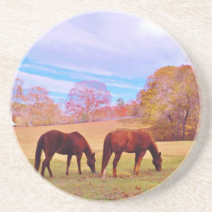 2 Brown horses in a coloured field Coaster