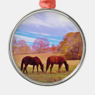 2 Brown horses in a coloured field Metal Ornament