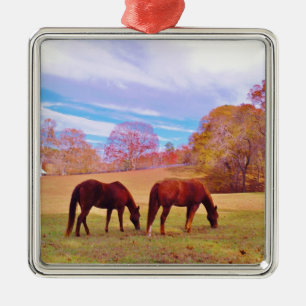 2 Brown horses in a coloured field Metal Ornament