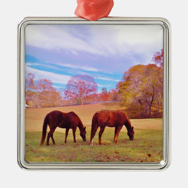 2 Brown horses in a coloured field Metal Ornament (Front)
