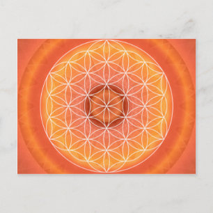2 Chakra Flower of Life orange Postcard