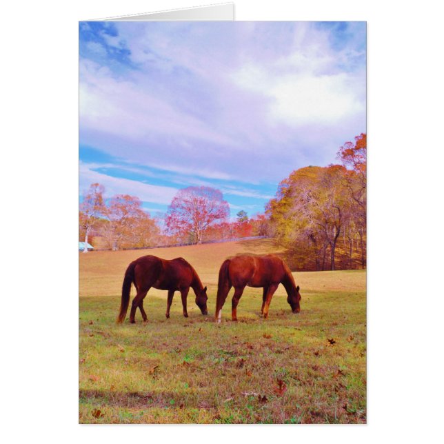 2 chevaux Brown dans un champ coloré (Devant)