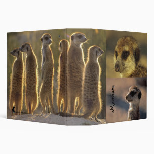 2" classeur de Meerkats - fleur Mozart