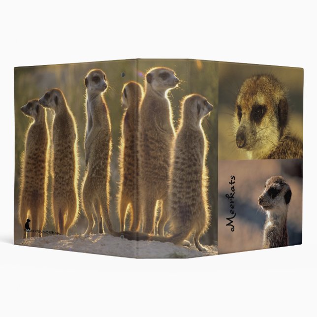2" classeur de Meerkats - fleur Mozart (Arrière-plan)