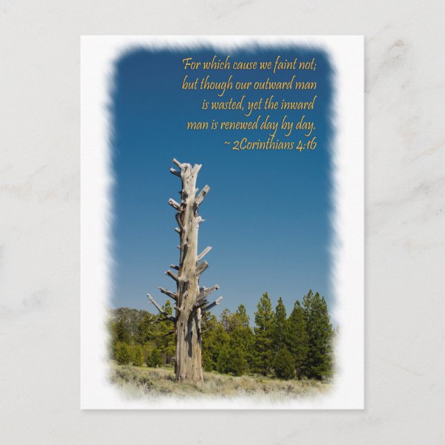 2 Corinthians 4:15 Postcard (Front)