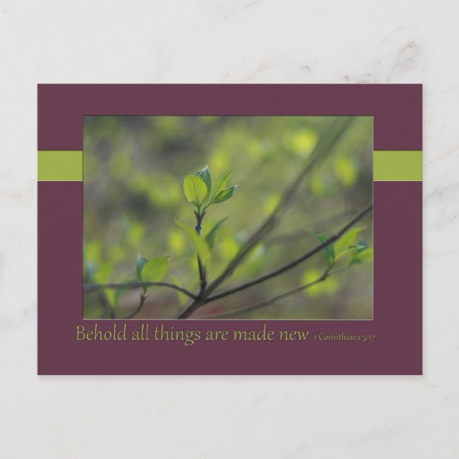 2 Corinthians 5:17 Behold all things are made new Postcard (Front)