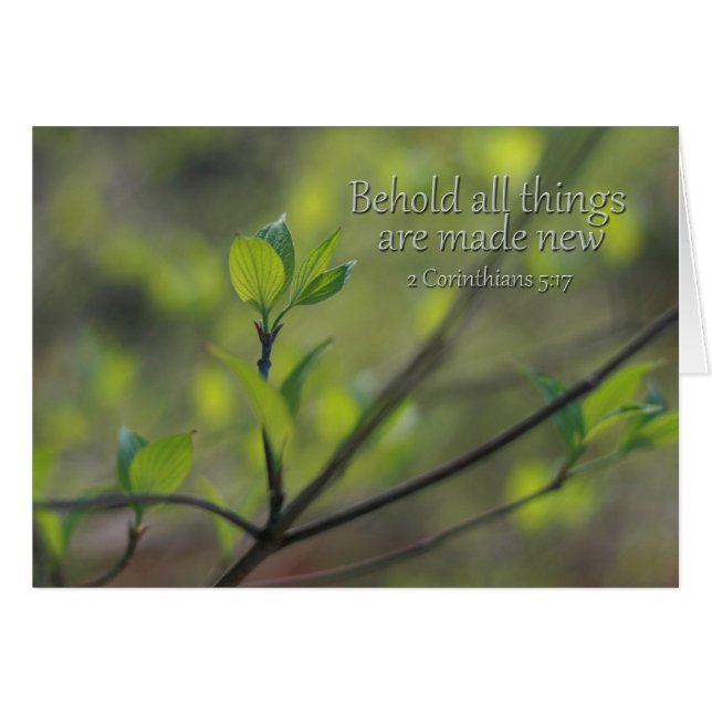 2 Corinthiens 5:17 Voici toutes choses nouvelles (Devant horizontal)