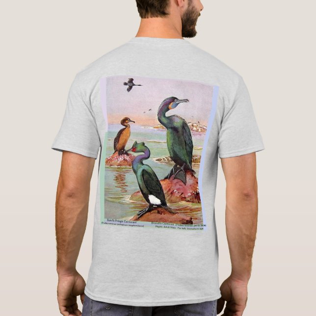 2 Cormorant Species, front/reverse artwork T-Shirt (Back)