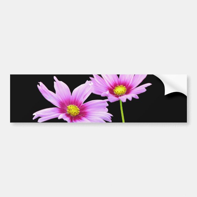 2 Cosmos Bumper Sticker (Front)