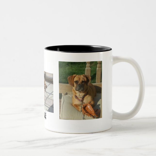 2 Couleurs 003, 167, 166, tasse de Puggle (Droit)