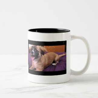 2 Couleurs André : Le roi de la tasse de chiot !