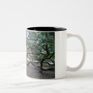 2 Couleurs Arbre de tasse de café de la vie