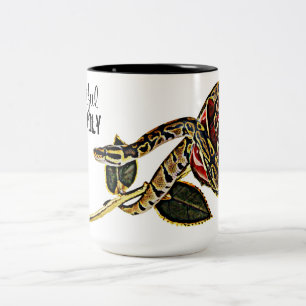 2 Couleurs Beauté dangereuse de tasse de serpent de python d