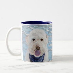 2 Couleurs Champagne Labradoodle avec la tasse de l'eau