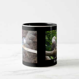 2 Couleurs DSC04582, DSC04495, la tasse de la sortie