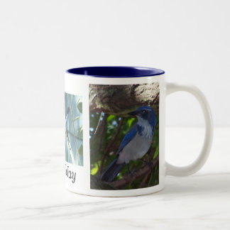 2 Couleurs Frottez la tasse de geai
