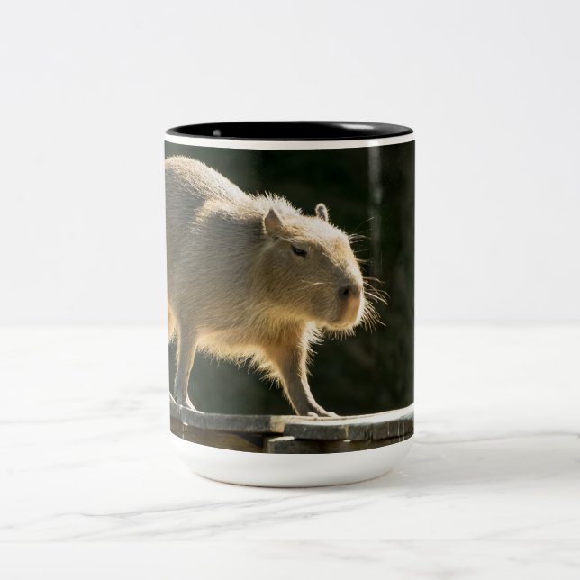 2 Couleurs Grande tasse de Capybara (Centre)