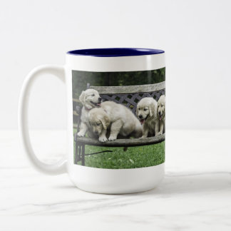 2 Couleurs Les demi-douzaines tasse du houx de banc