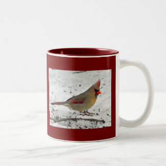 2 Couleurs Madame Cardinal dans la tasse de neige