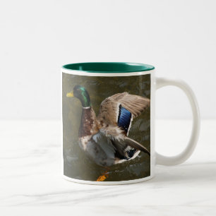 2 Couleurs mallard duck sur le point de voler une tasse en cé