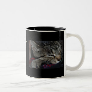 2 Couleurs Mes enfants tous ont des pattes ! Tasse de chat