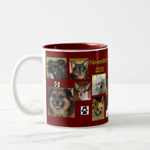 2 Couleurs novembre 2011 tasse