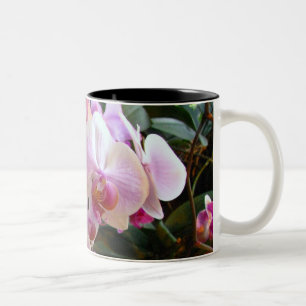 2 Couleurs Tasse 6 d'orchidée