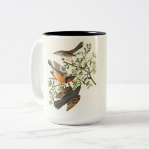 2 Couleurs Tasse à café Vintage Birds – Nature élégante et ja
