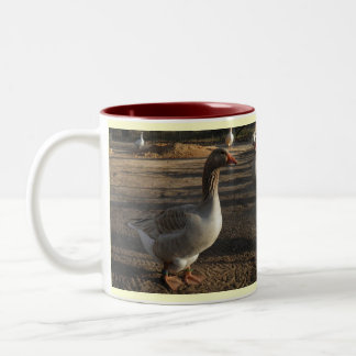 2 Couleurs Tasse "automne " d'oiseaux aquatiques de Silver
