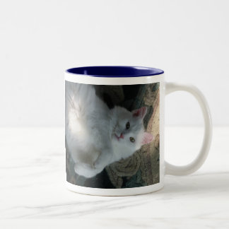 2 Couleurs Tasse blanche de chat, surprise de Kitty