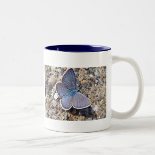 2 Couleurs Tasse blauer Schmetterling