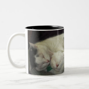 2 Couleurs Tasse d'Allis et d'Abbie
