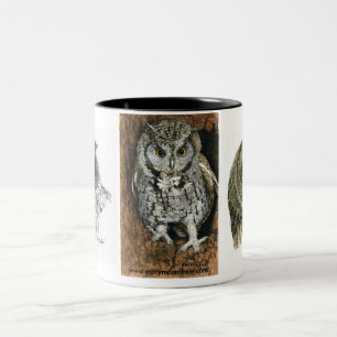 2 Couleurs Tasse d'amants de hibou