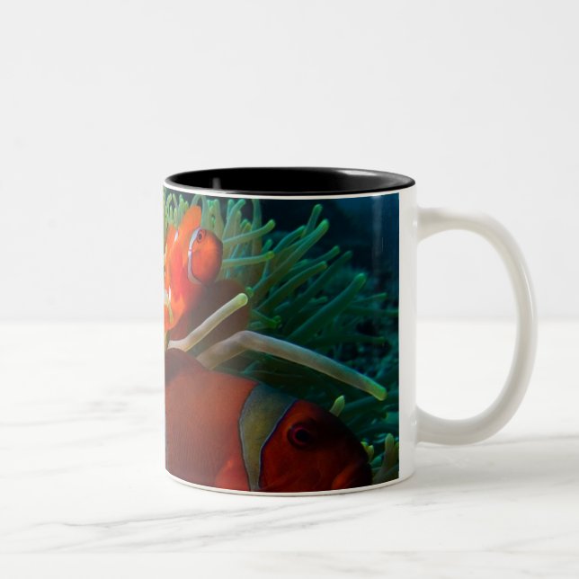 2 Couleurs Tasse de café d'Anemonefish (Droit)