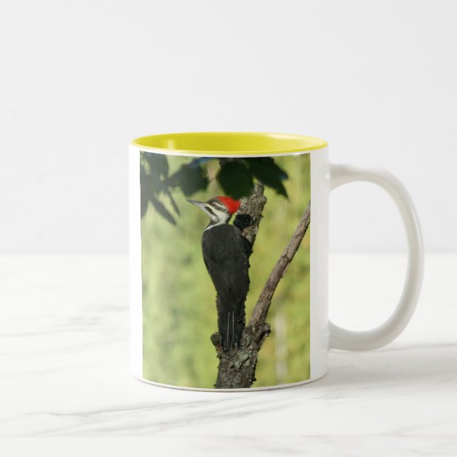 2 Couleurs Tasse de café de pivert de Pileated (Droit)