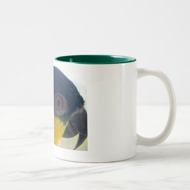 2 Couleurs Tasse de caïque (Droit)