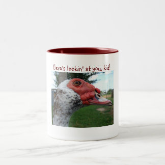 2 Couleurs Tasse de canard de Muscovy