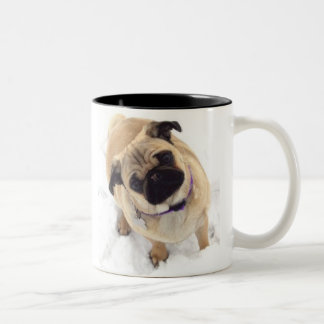 2 Couleurs Tasse de carlin