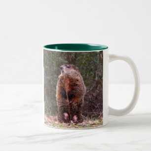 2 Couleurs Tasse de castor de jardin