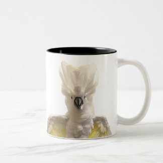 2 Couleurs Tasse de Cecil
