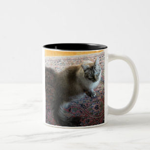 2 Couleurs Tasse de chat avec le vers… dans l'oeil affectue