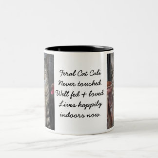 2 Couleurs Tasse de chat de jardin