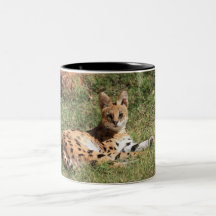 Tasse de chat de Serval